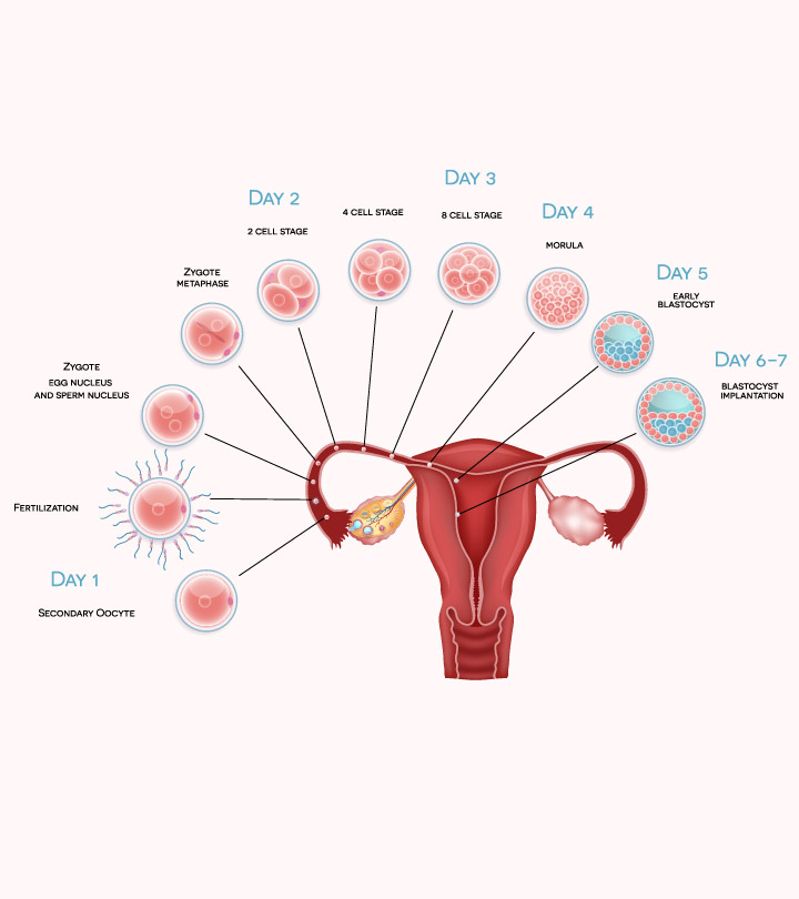 Featured image of post View 6 8 Days After Conception Cramping