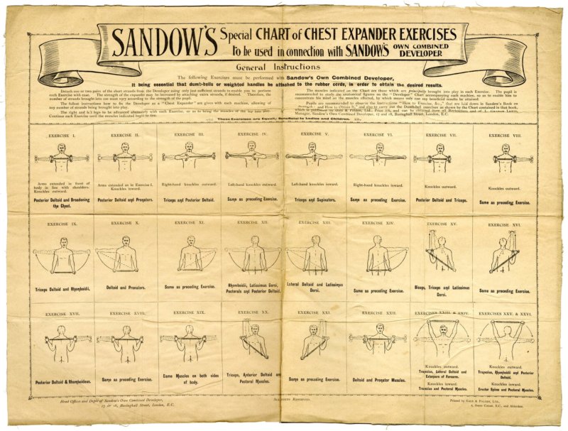 Featured image of post View 8 Chest Expander Exercises Pdf