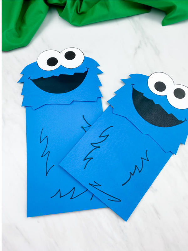 Featured image of post The Best 5 Cookie Monster Craft