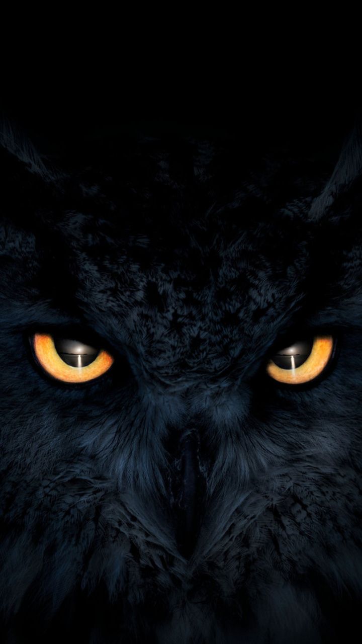 Featured image of post The Best 5 Dark Glowing Eyes Dark Owl Phone Wallpaper