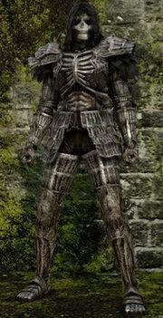 Featured image of post The Best 13 Darkwraith Armor Ds2