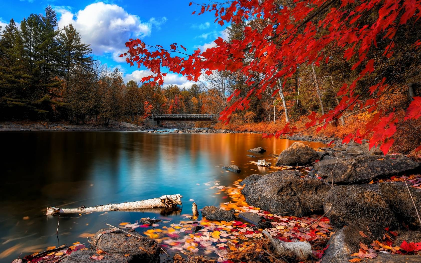 Featured image of post View 8 Fall Scenery Backgrounds