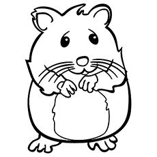 Featured image of post The Best 15 Free Printable Hamster Coloring Pages