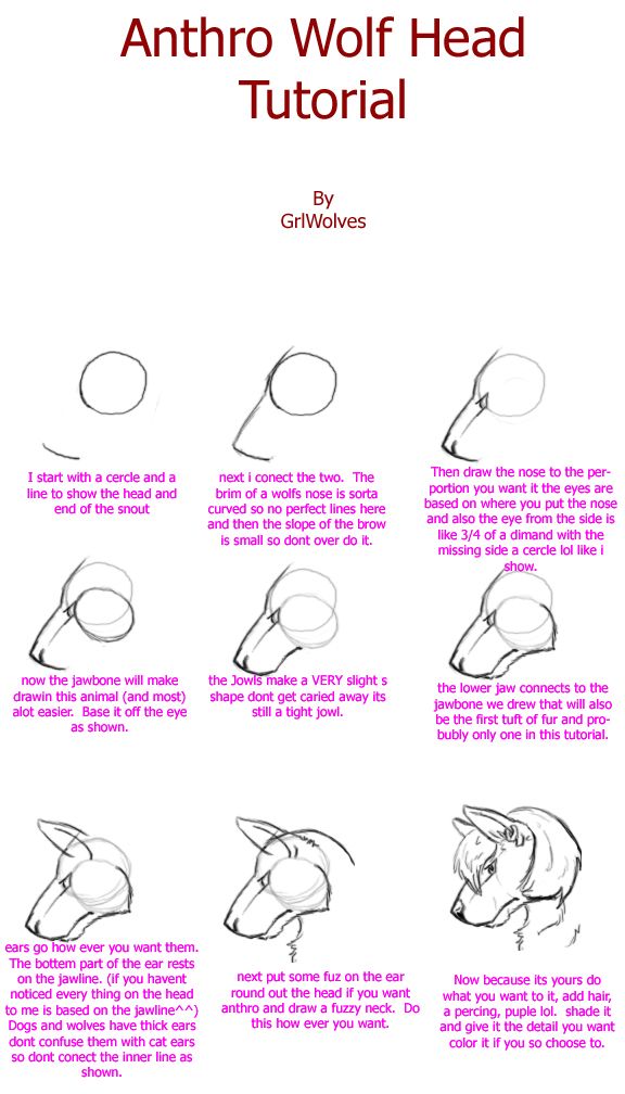 Featured image of post The Best 6 How To Draw An Anthro Wolf Head