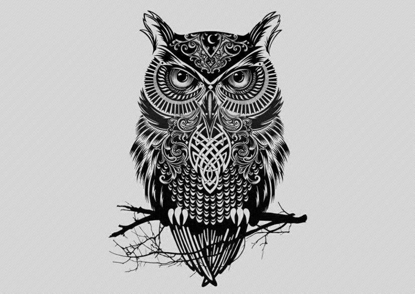 Featured image of post View 14 Outline Tribal Owl Tattoo Designs