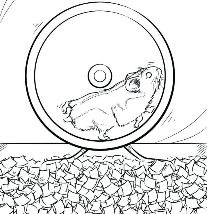 Featured image of post View 13 Printable Realistic Hamster Coloring Pages