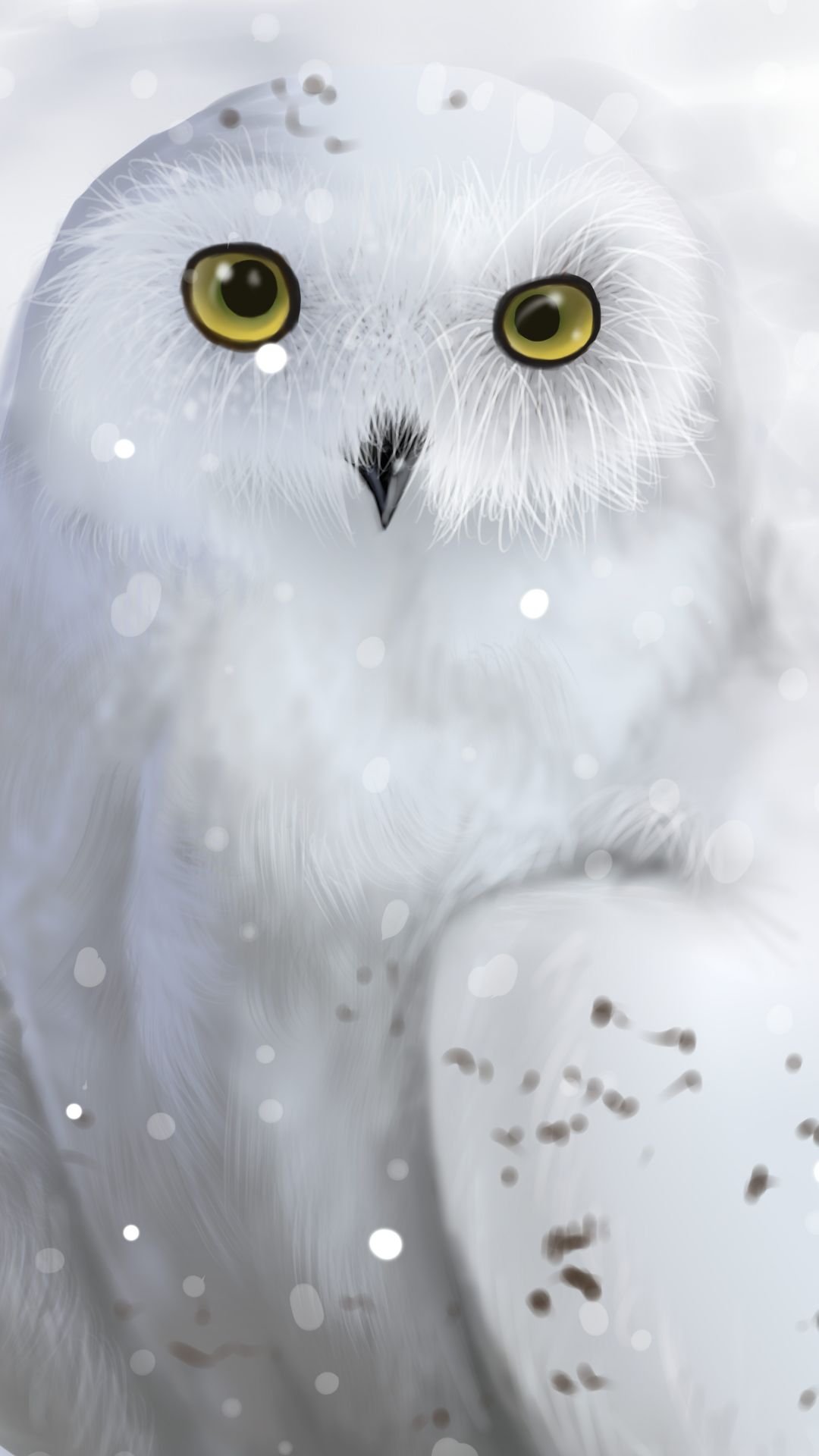 Featured image of post The Best 5 Snowy Owl Phone Wallpaper