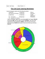 photo The Cell Cycle Coloring Worksheet Answer Key Pdf cell division and mitosis worksheet