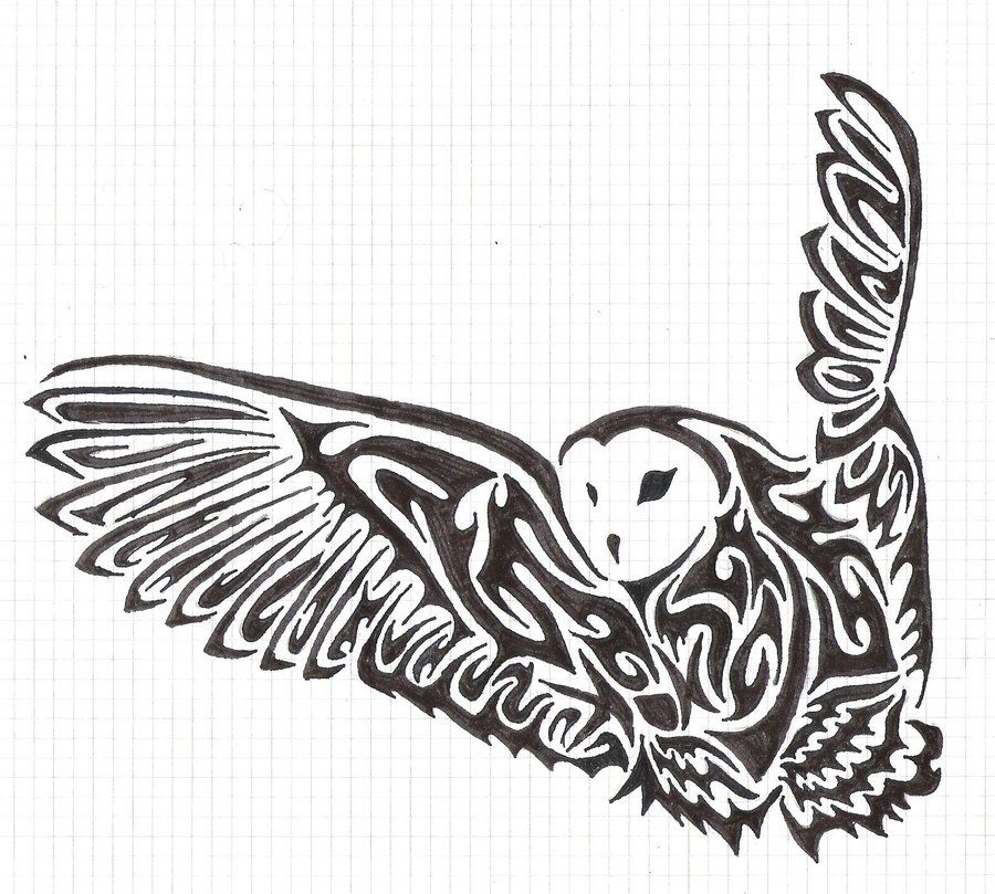 Featured image of post The Best 15 Tribal Owl Drawing