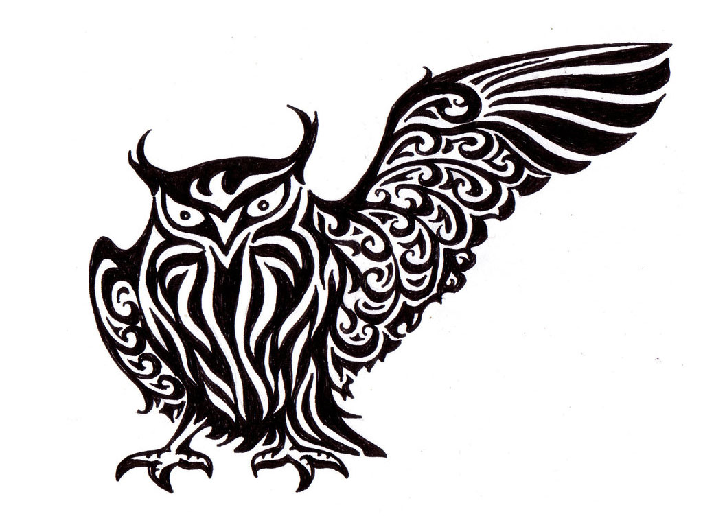 Featured image of post View 6 Tribal Owl Line Art