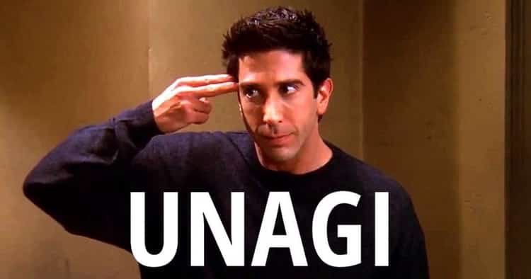 Featured image of post The Best 9 Unagi Ross Meaning