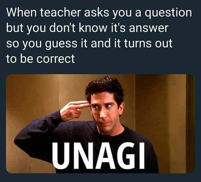 Featured image of post View 13 Unagi Ross Meme